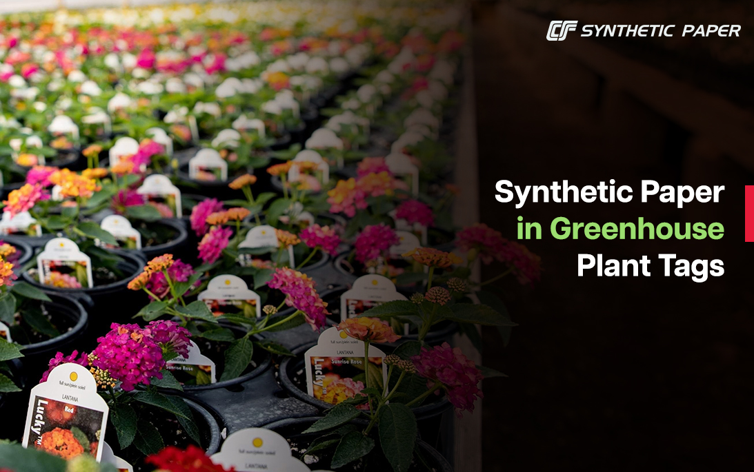 Synthetic Paper in Greenhouse Plant Tags: Durable Identification for Horticulture